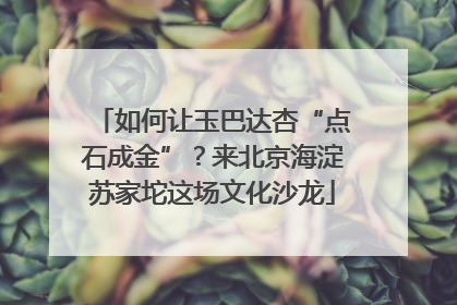 如何让玉巴达杏“点石成金”？来北京海淀苏家坨这场文化沙龙