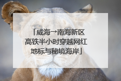 威海→南海新区 高铁半小时穿越网红地标与秘境海岸