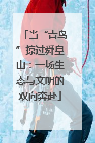 当“青鸟”掠过舜皇山：一场生态与文明的双向奔赴