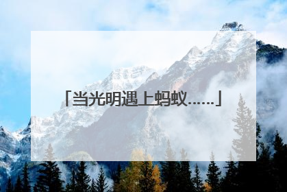 当光明遇上蚂蚁……