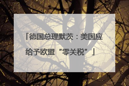 德国总理默茨：美国应给予欧盟“零关税”