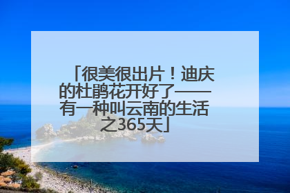 很美很出片！迪庆的杜鹃花开好了——有一种叫云南的生活之365天