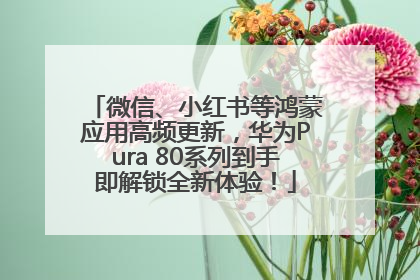 微信、小红书等鸿蒙应用高频更新，华为Pura 80系列到手即解锁全新体验！
