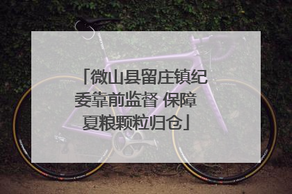 微山县留庄镇纪委靠前监督 保障夏粮颗粒归仓