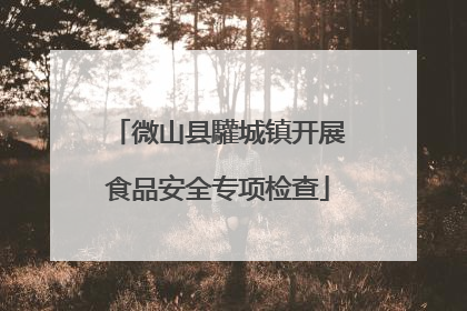 微山县驩城镇开展食品安全专项检查