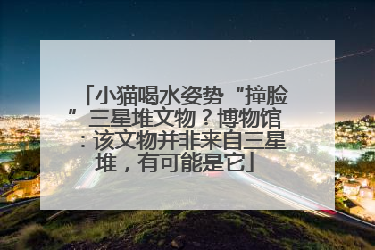 小猫喝水姿势“撞脸”三星堆文物？博物馆：该文物并非来自三星堆，有可能是它