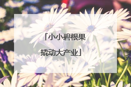 小小碧根果撬动大产业