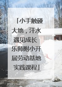 小手触碰大地，汗水遇见成长 乐师附小开展劳动基地实践课程
