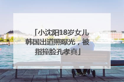 小沈阳18岁女儿韩国出道照曝光，被指撞脸孔孝真