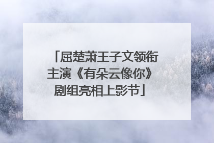 屈楚萧王子文领衔主演《有朵云像你》剧组亮相上影节