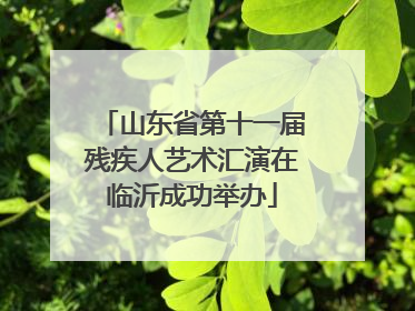 山东省第十一届残疾人艺术汇演在临沂成功举办