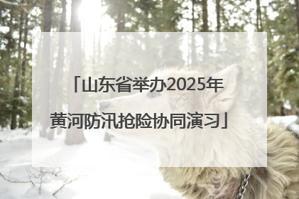 山东省举办2025年黄河防汛抢险协同演习