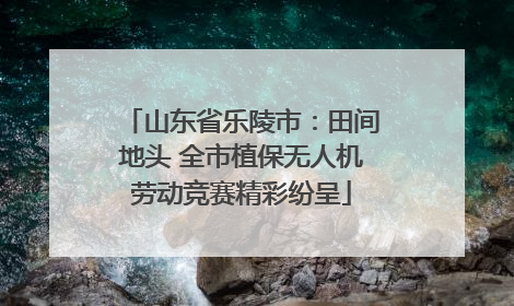 山东省乐陵市：田间地头 全市植保无人机劳动竞赛精彩纷呈
