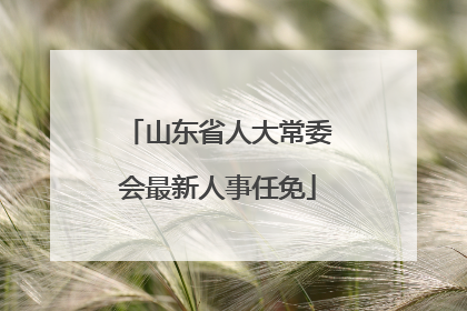 山东省人大常委会最新人事任免