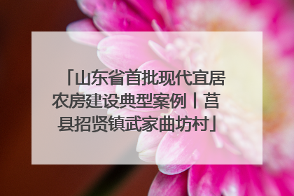 山东省首批现代宜居农房建设典型案例丨莒县招贤镇武家曲坊村