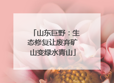 山东巨野：生态修复让废弃矿山变绿水青山