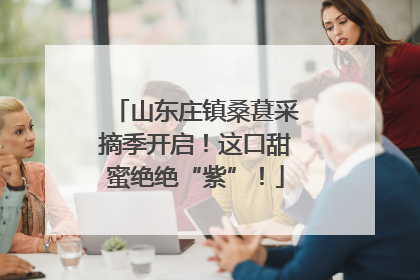山东庄镇桑葚采摘季开启！这口甜蜜绝绝“紫”！