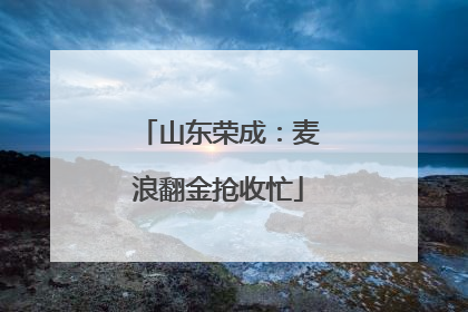 山东荣成：麦浪翻金抢收忙