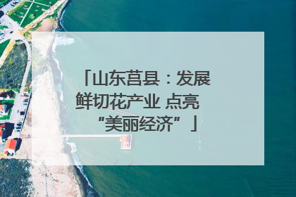 山东莒县：发展鲜切花产业 点亮“美丽经济”