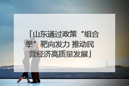 山东通过政策“组合拳”靶向发力 推动民营经济高质量发展