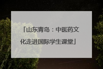 山东青岛：中医药文化走进国际学生课堂