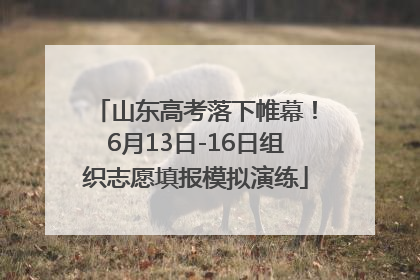 山东高考落下帷幕！6月13日-16日组织志愿填报模拟演练