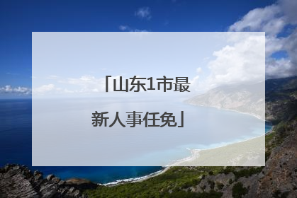 山东1市最新人事任免
