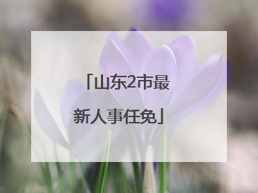 山东2市最新人事任免