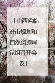 山西省临汾市规划和自然资源局党组召开会议