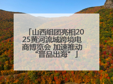 山西组团亮相2025黄河流域跨境电商博览会 加速推动“晋品出海”