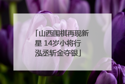 山西围棋再现新星 14岁小将行泓丞斩金夺银