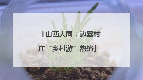 山西大同：边塞村庄“乡村游”热络