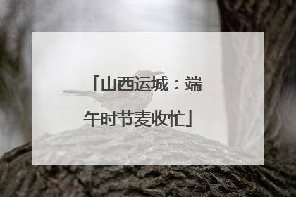 山西运城：端午时节麦收忙