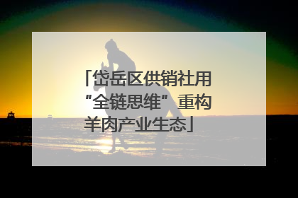 岱岳区供销社用“全链思维”重构羊肉产业生态