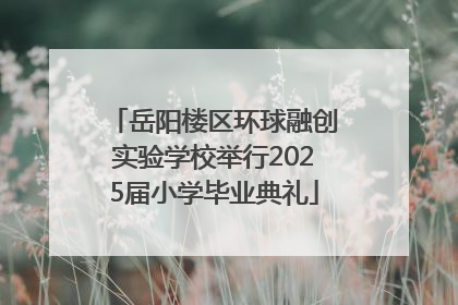 岳阳楼区环球融创实验学校举行2025届小学毕业典礼