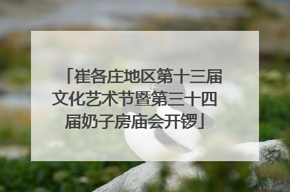 崔各庄地区第十三届文化艺术节暨第三十四届奶子房庙会开锣