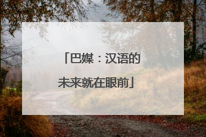 巴媒：汉语的未来就在眼前