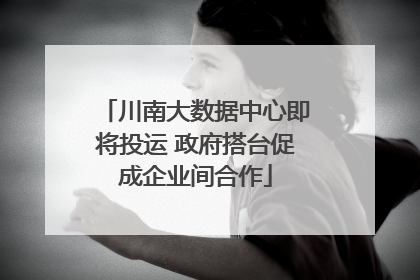 川南大数据中心即将投运 政府搭台促成企业间合作