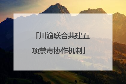 川渝联合共建五项禁毒协作机制
