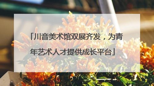 川音美术馆双展齐发，为青年艺术人才提供成长平台