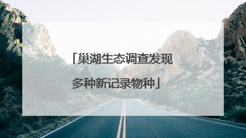 巢湖生态调查发现多种新记录物种