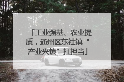 工业强基、农业提质，通州区东社镇“产业兴镇”扛担当
