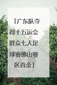广东队夺得十五运会群众七人足球赛佛山赛区首金