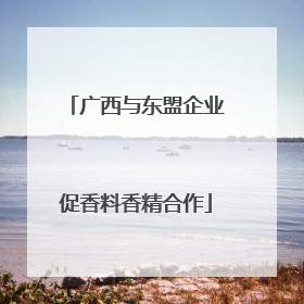 广西与东盟企业促香料香精合作