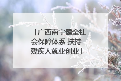 广西南宁健全社会保障体系 扶持残疾人就业创业