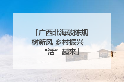 广西北海破陈规树新风 乡村振兴“活”起来