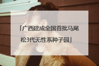 广西建成全国首批马尾松3代无性系种子园