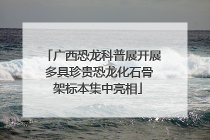广西恐龙科普展开展 多具珍贵恐龙化石骨架标本集中亮相