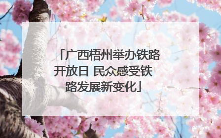 广西梧州举办铁路开放日 民众感受铁路发展新变化