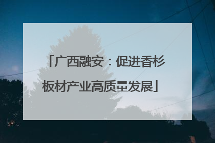 广西融安：促进香杉板材产业高质量发展